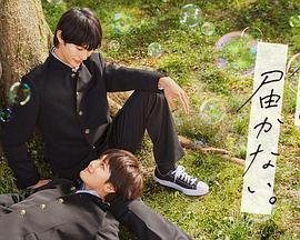 玉环seo排名优化推广